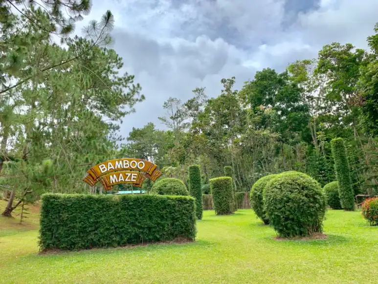 sugar dating ideas Davao city